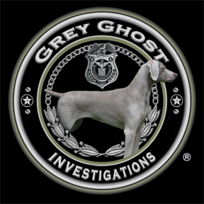 Grey Ghost Investigations's Logo