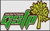 Folsom Tree Service experts's Logo