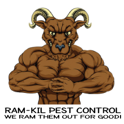 RAM-KIL Pest Control's Logo