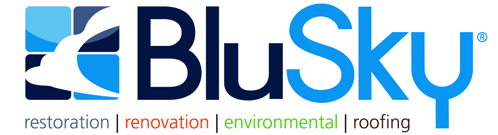 BluSky's Logo