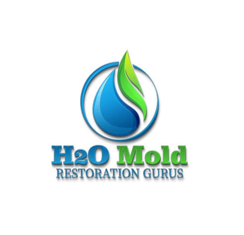 H2O Mold Restoration Gurus of San Clemente's Logo