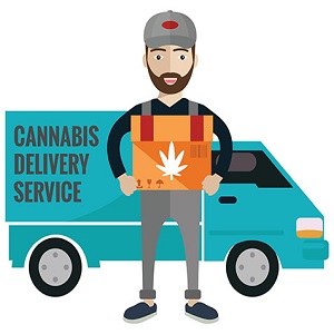 EZ weed delivery's Logo