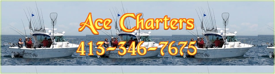 Ace Charters - Lake Ontario Fishing Charters's Logo
