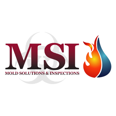 Mold Solutions & Inspections's Logo