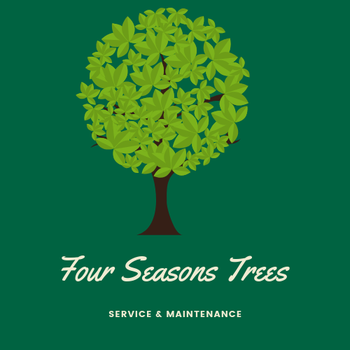 Four Seasons Trees's Logo