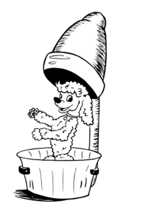 A Poodle Launderette's Logo