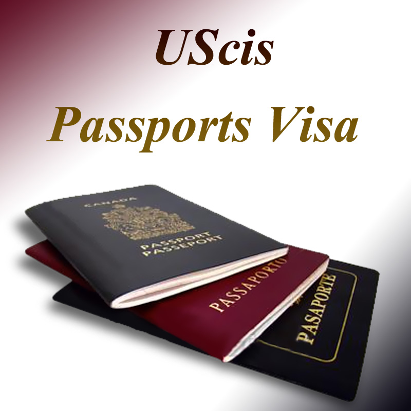 USCIS PASSPORTS VISA's Logo