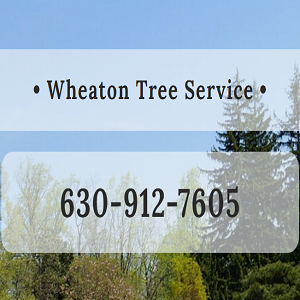 Wheaton Tree Removal's Logo