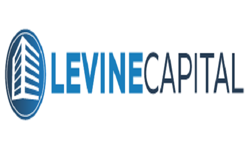 Levine Capital Management, LLC's Logo