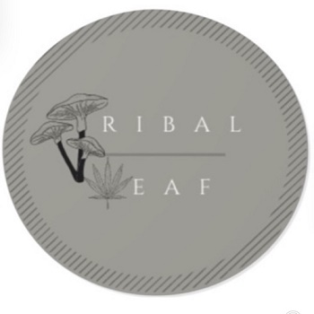 Tribal Leaf's Logo