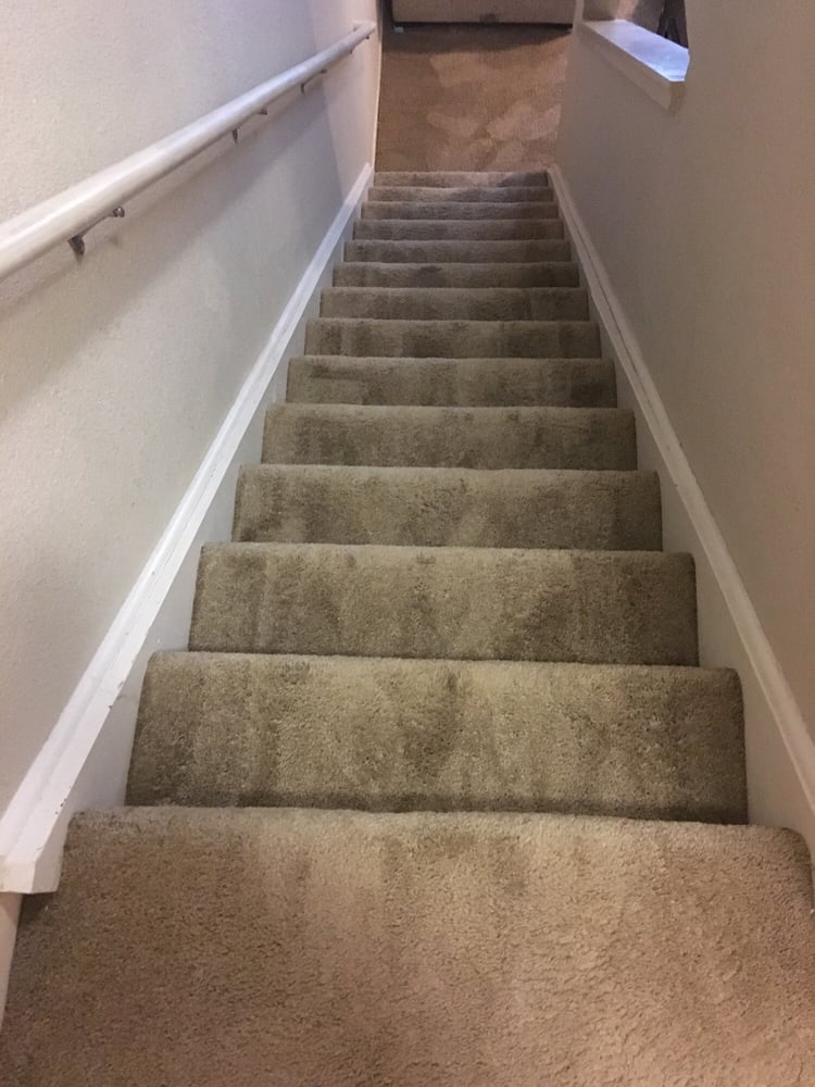 Carpet cleaning companies