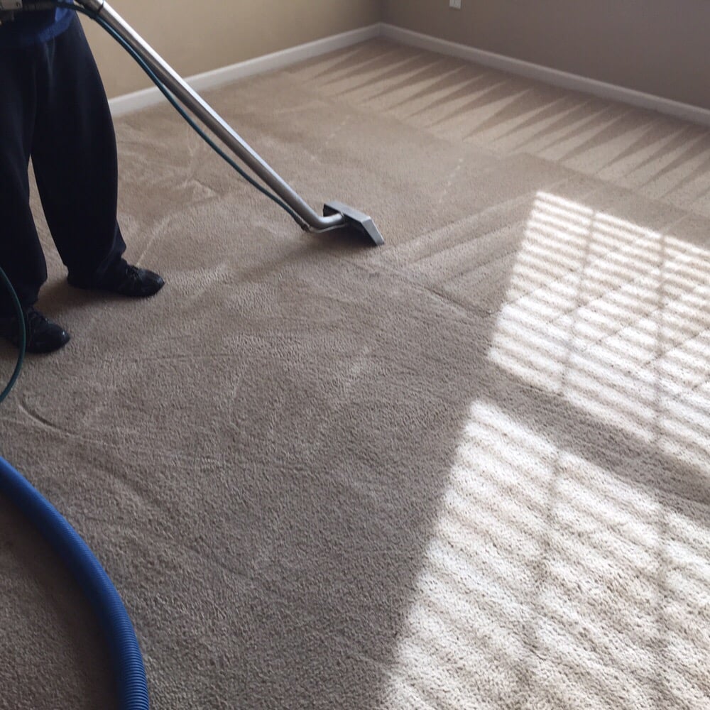 Professional carpet cleaning company