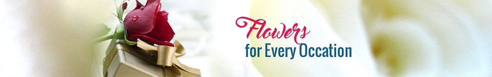 Flowers Delivery's Logo