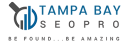 Tampa Bay SEO Pro's Logo