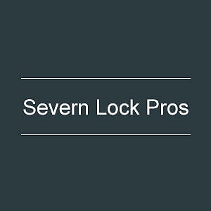 Severn Lock Pros's Logo