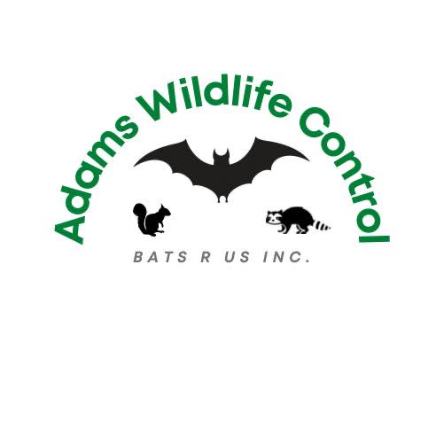 Adams Wildlife Control's Logo