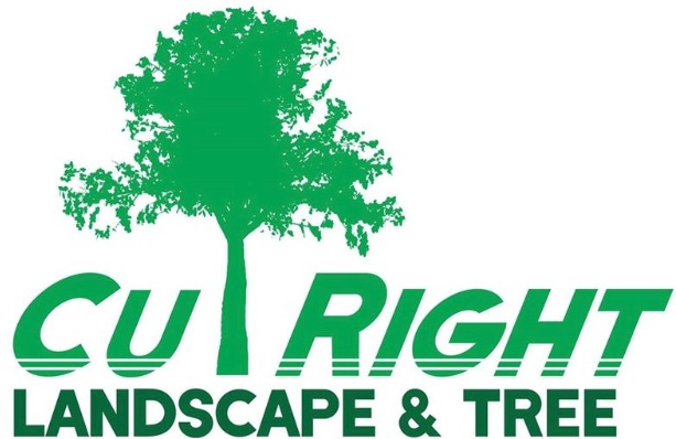Cut Right Landscape & Tree's Logo