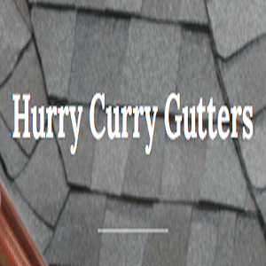 Hurry Curry Gutters's Logo