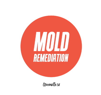 Mold Remediation Greenville SC - Greenville Mold Pros's Logo