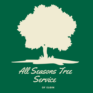 All Seasons Tree Service of Elgin's Logo