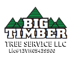 Big Timber Tree Service LLC's Logo