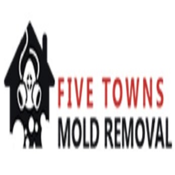 five towns mold removal