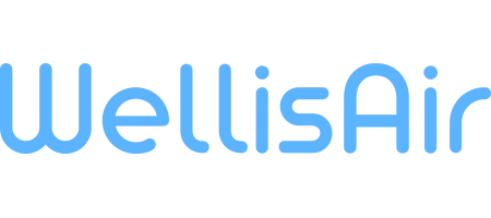Wellis Air's Logo