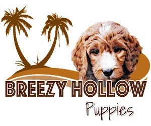 Breezy Hollow Puppies's Logo