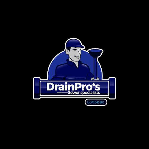 Drain Pros's Logo