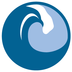 Riptide Managed IT Services's Logo