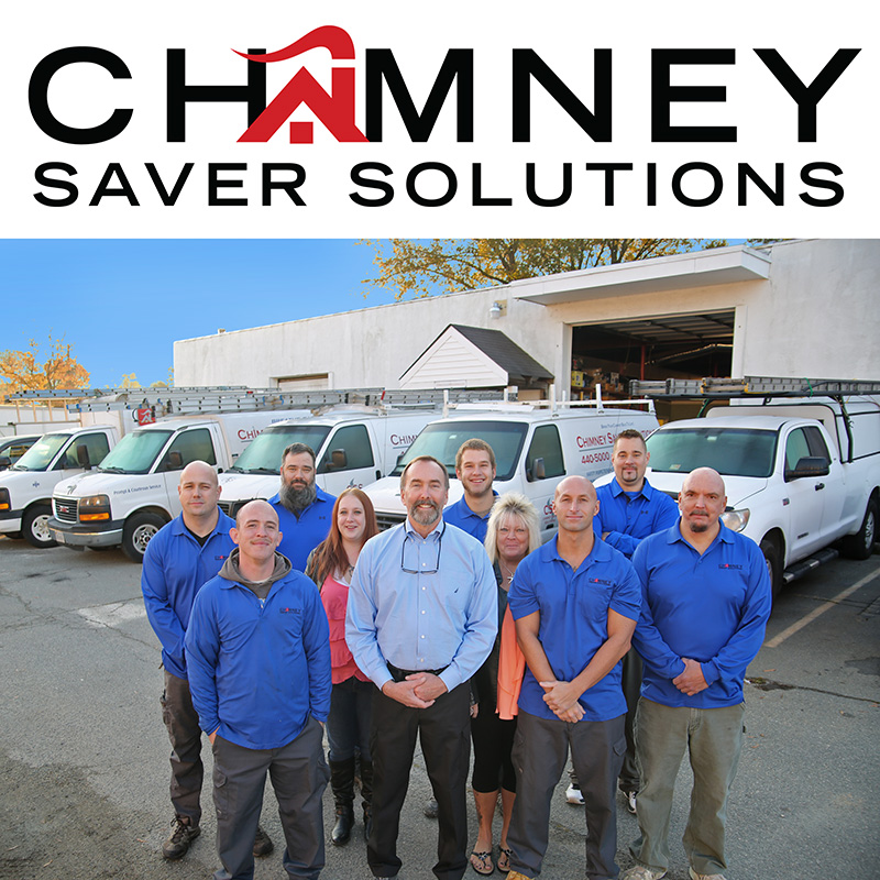 Chimney Saver Solutions's Logo