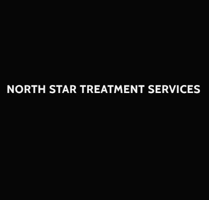 North Star Treatment Services's Logo