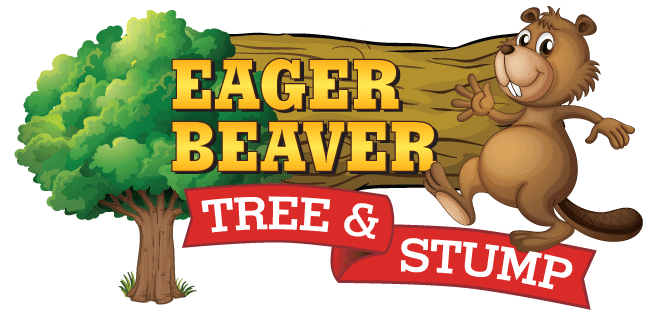 Eager Beaver Tree Removal's Logo