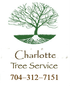 Charlotte Tree Service's Logo