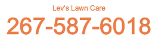 Lev's Lawn Care's Logo