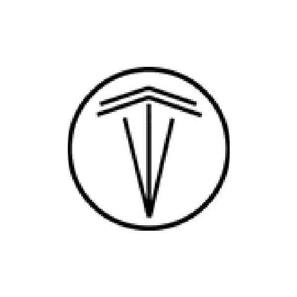 Tesla Rents's Logo