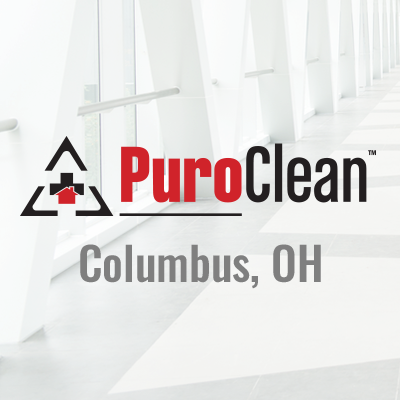 PuroClean Water, Fire & Mold Experts's Logo