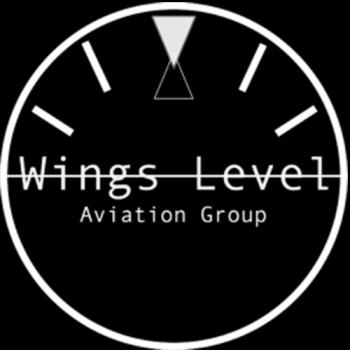 Wings Level Aviation Group, LLC's Logo