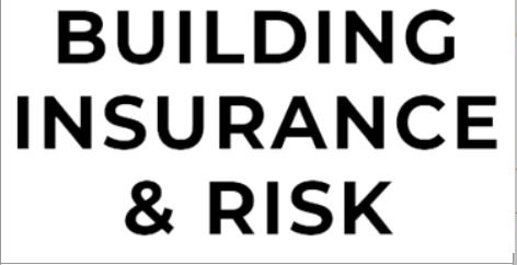 Building Insurance & Risk's Logo