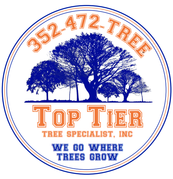 Top Tier Tree Specialist's Logo