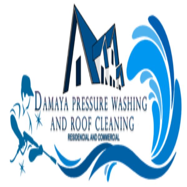 Damaya Pressure Washing and Roof Cleaning's Logo