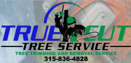 True Cut Tree Service's Logo