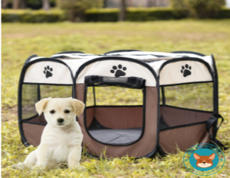 Online Pet Tent for Dogs & Cats | Buy Small Pet Tent