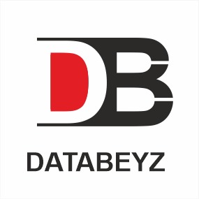 Databeyz's Logo