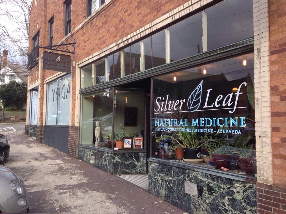 Silver Leaf Natural Medicine's Logo
