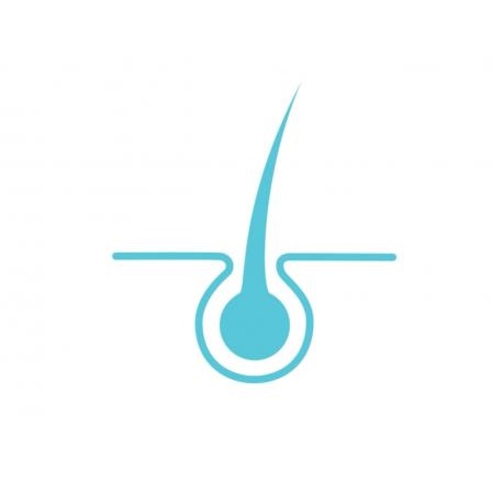 Northwestern Hair Restoration's Logo