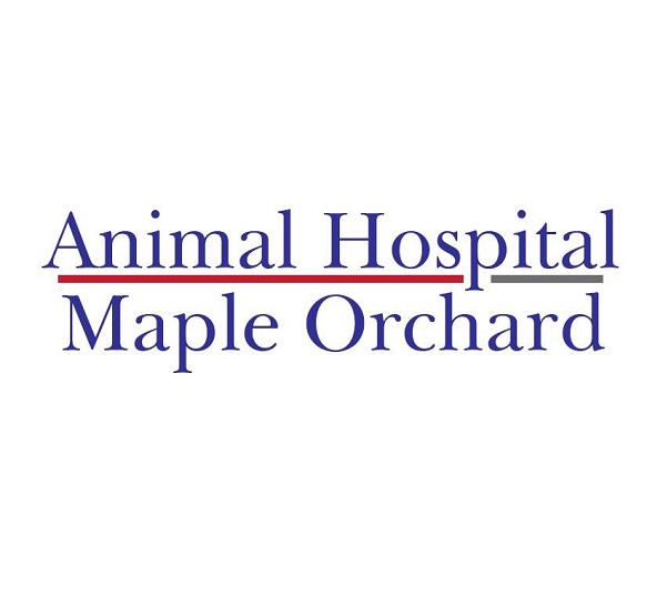 Animal Hospital Maple Orchard's Logo