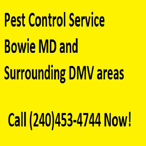 Pest Control Service Bowie MD