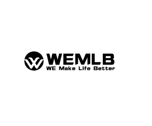 Wemlb: Best Security Camera Companies in US's Logo