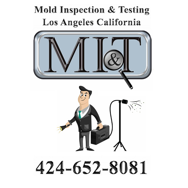 Mold Inspection & Testing Los Angeles's Logo